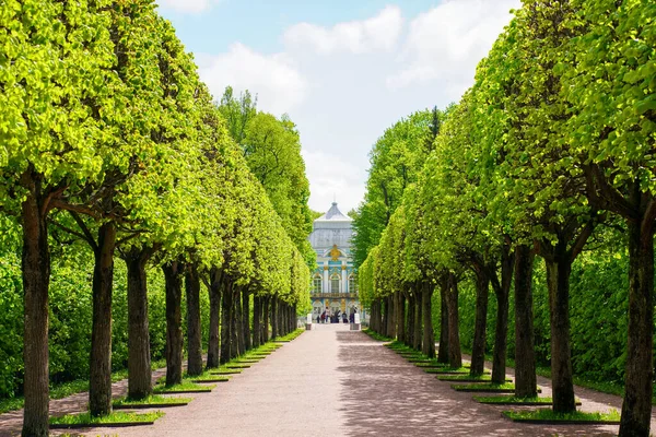 2021 Rusya Petersburg Catherine Park Manzarası Tsarskoe Selo Puşkin — Stok fotoğraf