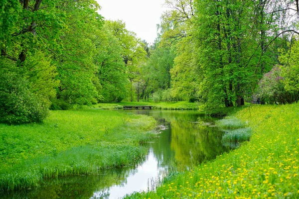 2021ロシアサンクトペテルブルク 公園の眺めリブニー運河 Tsarskoe Selo Pushkin — ストック写真