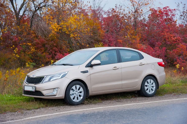 Sonbahar ormanının arka planında bej rengi KIA Rio.