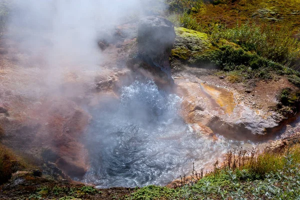 Water boils in the geyser crater. Valley of Geysers, Kamchatka.