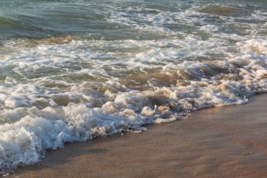 Kumlu sahilde deniz dalgası