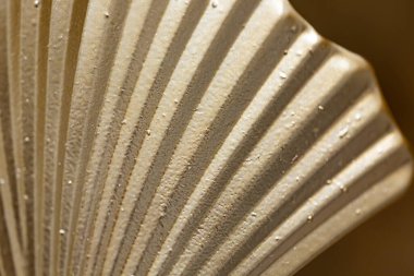 Boş seramik dekoratif kabuk tabakasının kırpılmış görüntüsü. Sarı arkaplanda kabuk şekilli plaka.