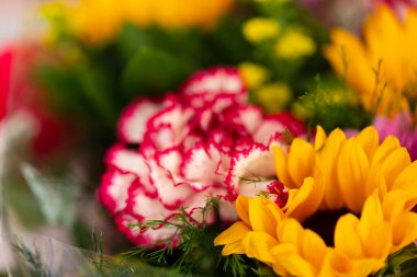 Makro bir buket güzel çiçek. Görünür taç yaprağı. Doğru çiçek tomurcukları. Üst görünüm, kapat, arkaplan, seçici odak, metin için kopyalama alanı, kırpılmış resim. Bir buket ayçiçeği