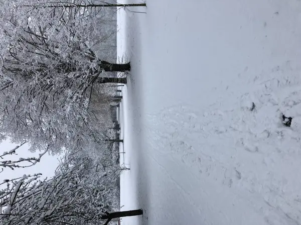 Draußen Ist Winter Sehr Frostig — Stockfoto