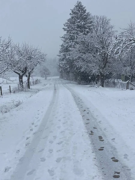 Hace Mucho Frío Afuera Invierno —  Fotos de Stock