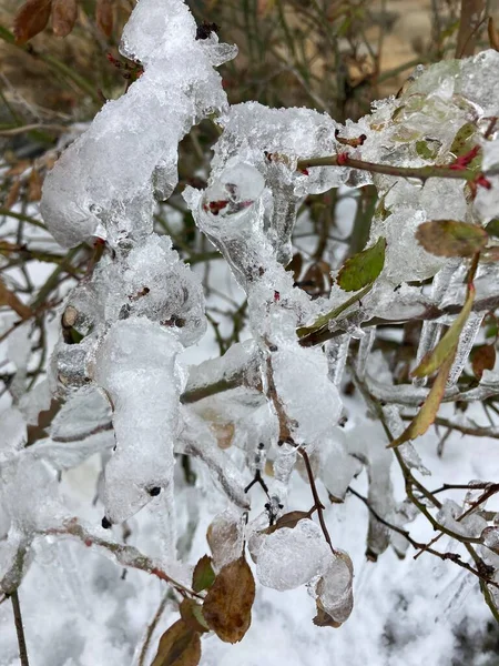 Kışın Dışarısı Çok Soğuk Olur — Stok fotoğraf