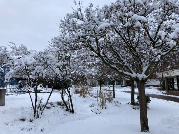 Draußen Ist Winter Sehr Frostig — Stockfoto