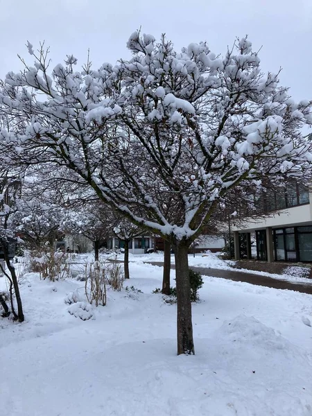 Draußen Ist Winter Sehr Frostig — Stockfoto