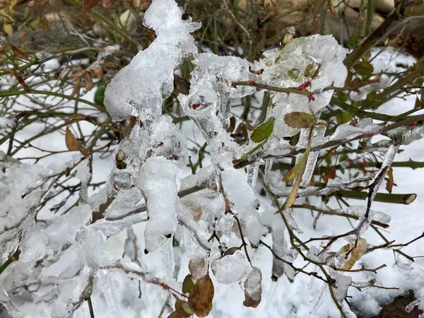 Almanya Çok Soğuk Olmaya Başladı — Stok fotoğraf