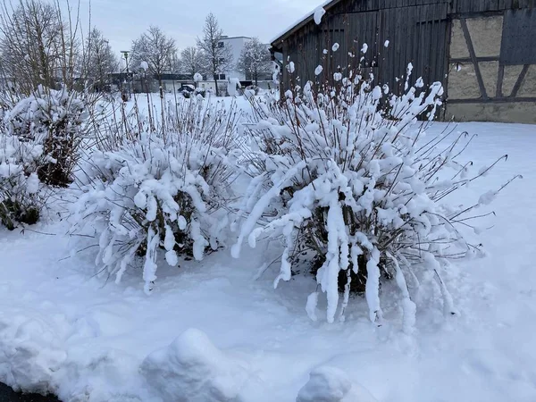 Χειμώνας Στη Γερμανία Πέρυσι — Φωτογραφία Αρχείου