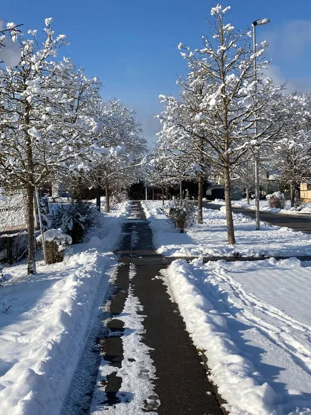 Geçen Yıl Almanya Kış Mevsimi — Stok fotoğraf