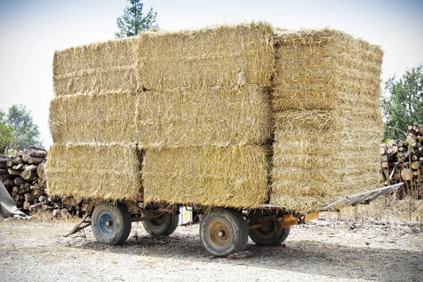 Heap of straw — Stock Photo, Image