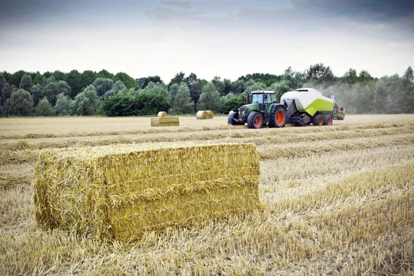 Un tracteur récolte du blé sur un champ — Photo