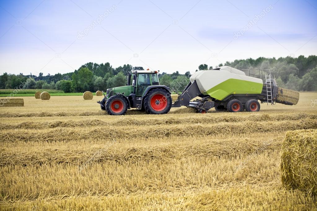 Tractor harvests wheat on a field