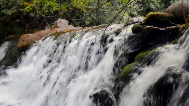 Vízesés egy hegyi patakban — Stock videók