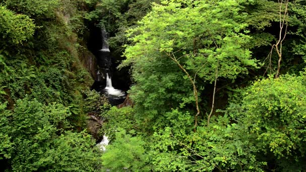 Cachoeira do rio Saja — Vídeo de Stock