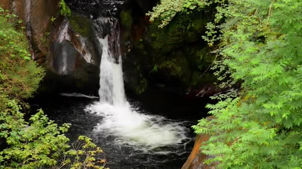 Cachoeira do rio Saja — Vídeo de Stock