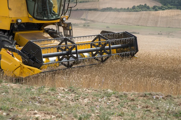 Combine harvester — Stock Photo, Image