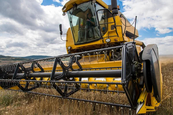 Combine harvester — Stock Photo, Image