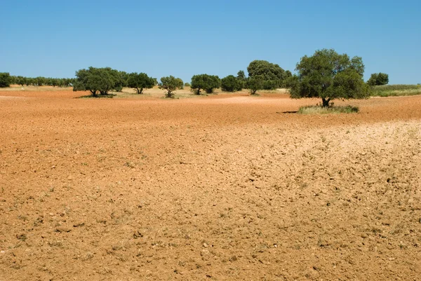 Fallow field — Stock Photo, Image