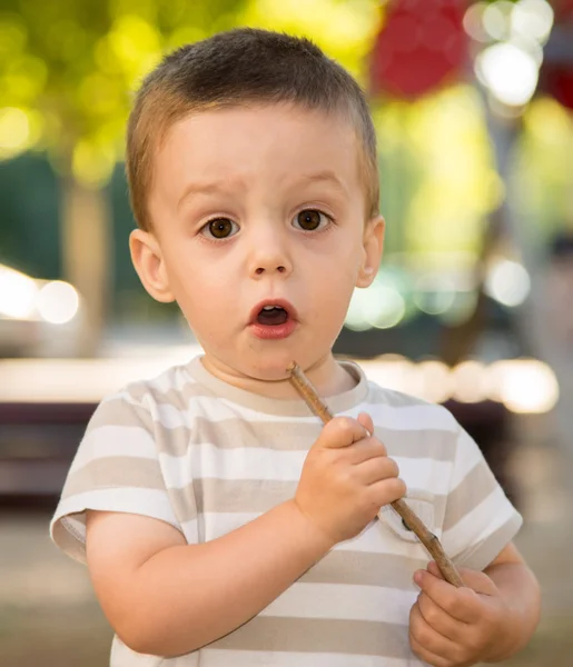 Niño con un palo Imagen De Stock