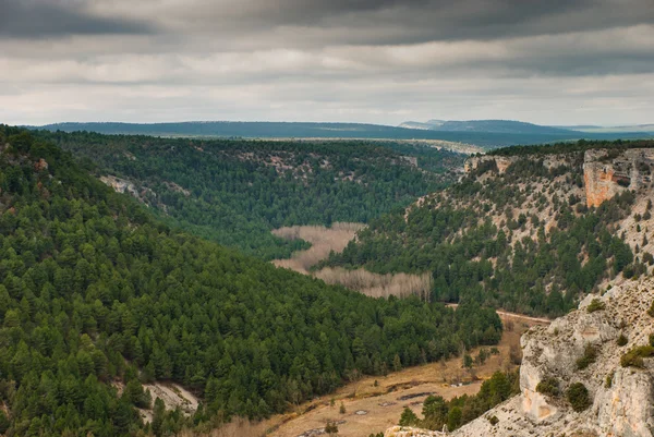 Lobos river Kanyonu