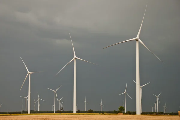 Wind farm — Stock Photo, Image