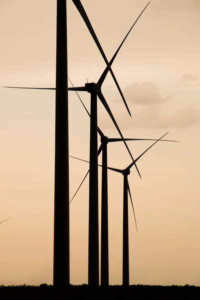 Wind farm — Stock Photo, Image