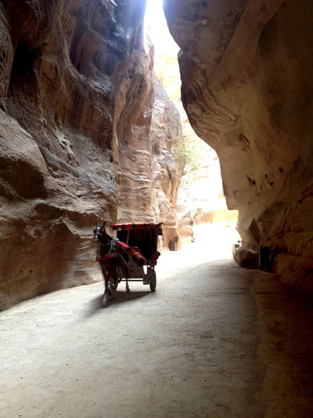 De siq in Petra, Jordan — Stockfoto