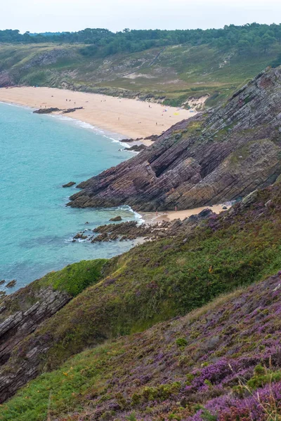 Wybrzeże Atlantyku z liliowymi łąkami wrzosowiskowymi w Bretanii w północnej Francji — Zdjęcie stockowe
