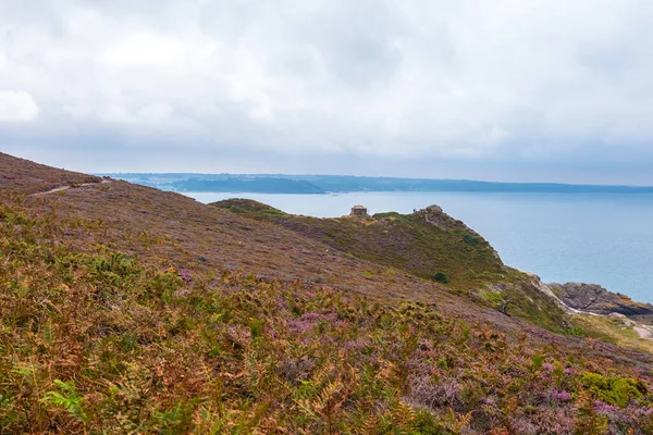 Wybrzeże Atlantyku z liliowymi łąkami wrzosowiskowymi w Bretanii w północnej Francji — Zdjęcie stockowe