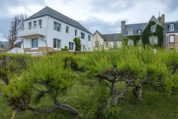 Roscoff França Agosto 2019 Cityscape Com Antigos Edifícios Residenciais Roscoff — Fotografia de Stock