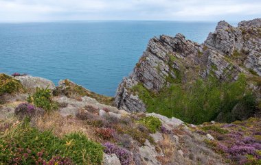 Fransa 'nın kuzeybatısındaki İngiliz kanalı Erquy Cape' deki yamaçlar ve leylak fundalıkları ile güzel bir manzara.