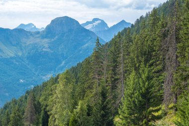 Auris, Isere, Fransa - 22 Ağustos 2019: Auris en Oisans yaz mevsiminde Kuzey Alpler 'de tatil köyü. Tatil köyü Avrupa 'nın en yüksek ladin ormanıyla sınırlıdır.