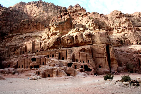 ペトラ、Jordan の赤い砂岩に彫られた墓 — ストック写真