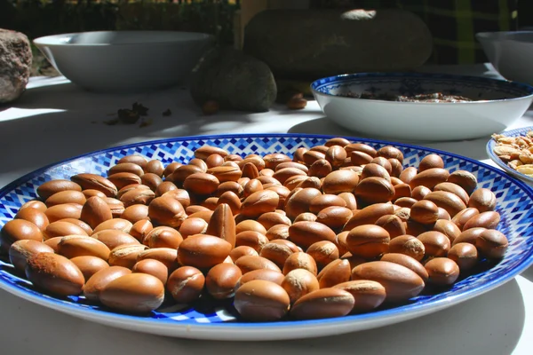 Аргановые орехи — стоковое фото