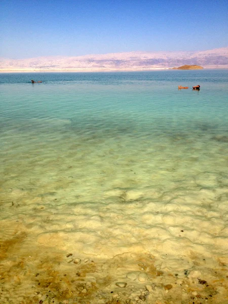 Плавание на Мертвом море, Израиль — стоковое фото