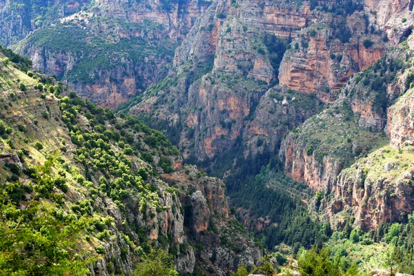 Montanhas de lebanon — Fotografia de Stock