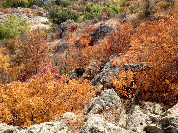 Vallée du Bug Sud en automne — Photo