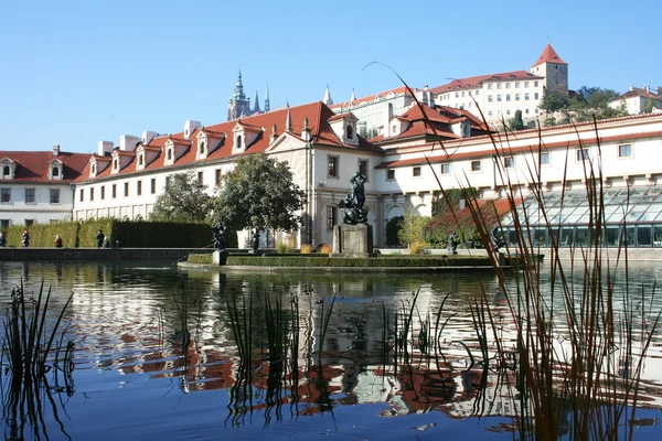 Gato de Praga, casco antiguo y el distrito de Hradjalá —  Fotos de Stock