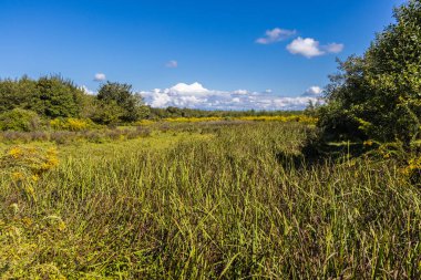 Küçük şehir Anaklia yakınlarındaki bataklıklar, Samegrelo bölgesi, Georgia