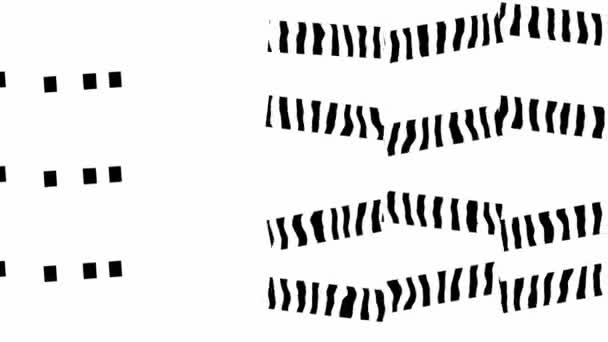 Messed Black Strokes Motion White Background Graphic Silhouettes Pattern — Stockvideo