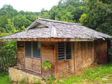Ormandaki eski terk edilmiş avcı kulübesi. 