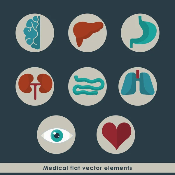 Cuidados de saúde e conceito médico. Ícones de órgãos humanos conjunto plano — Vetor de Stock