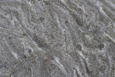 yosunlu gri beton zemin