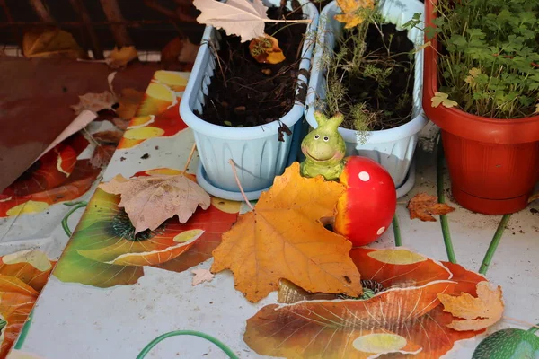 Осенние Листья Корзине — стоковое фото
