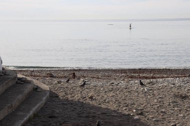 Güneşli bir günde deniz manzarası