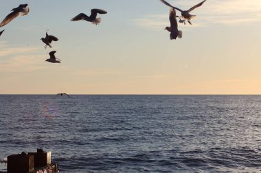 Denizin üzerinde gün batımı