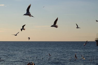 Denizin üzerinde gün batımı