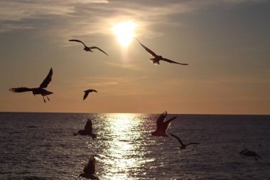 Denizin üzerinde gün batımı